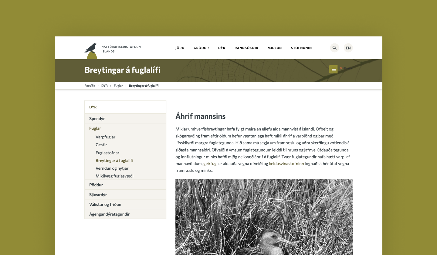 View of Biota articles on the Ní website