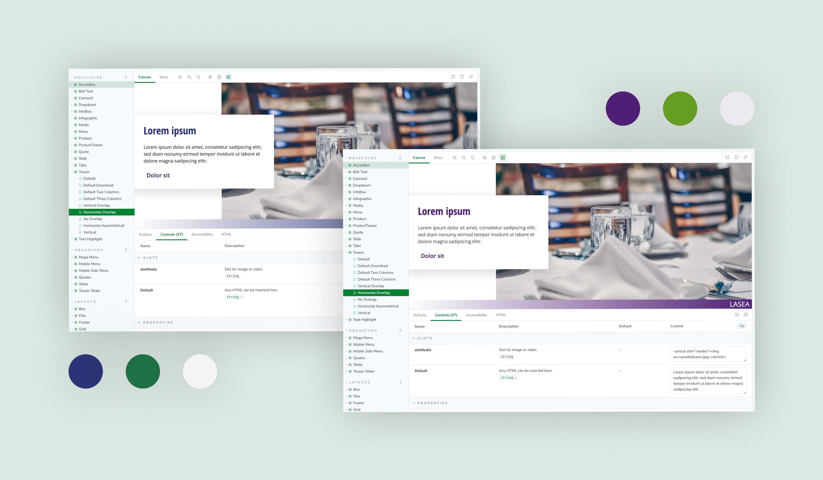 Design system overview showing Schwabe branding 