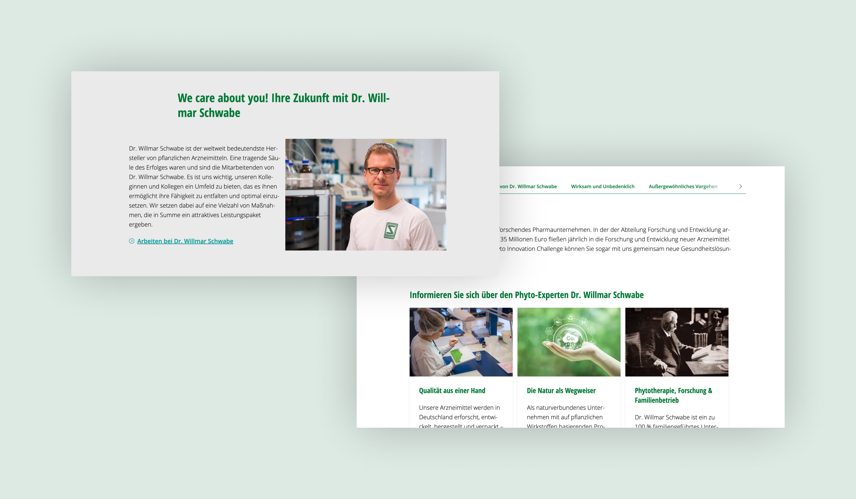 Schwabe webpage displaying content about the Scwabe brand. 