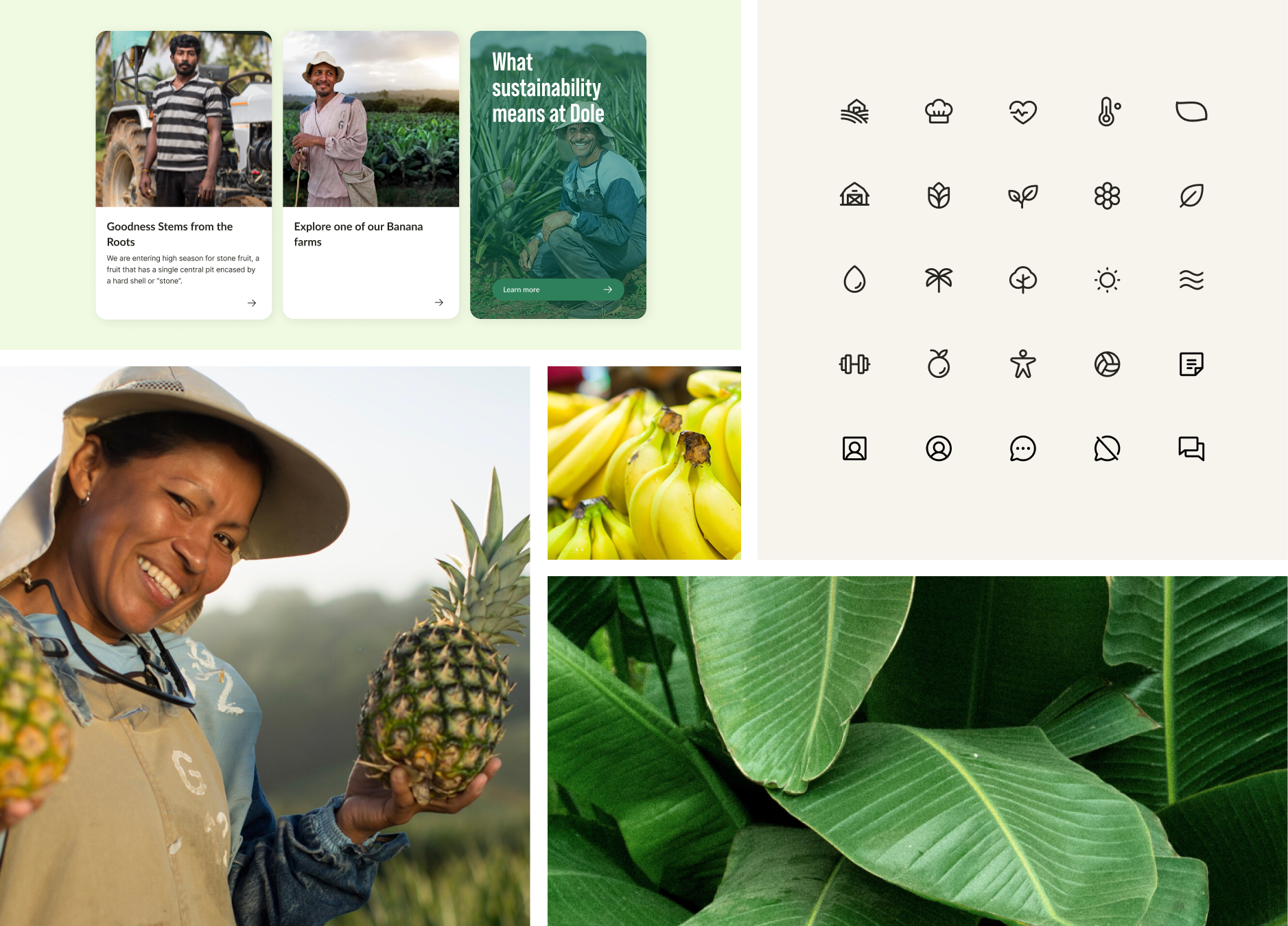 Collage with images from Farmtour and features of the website.