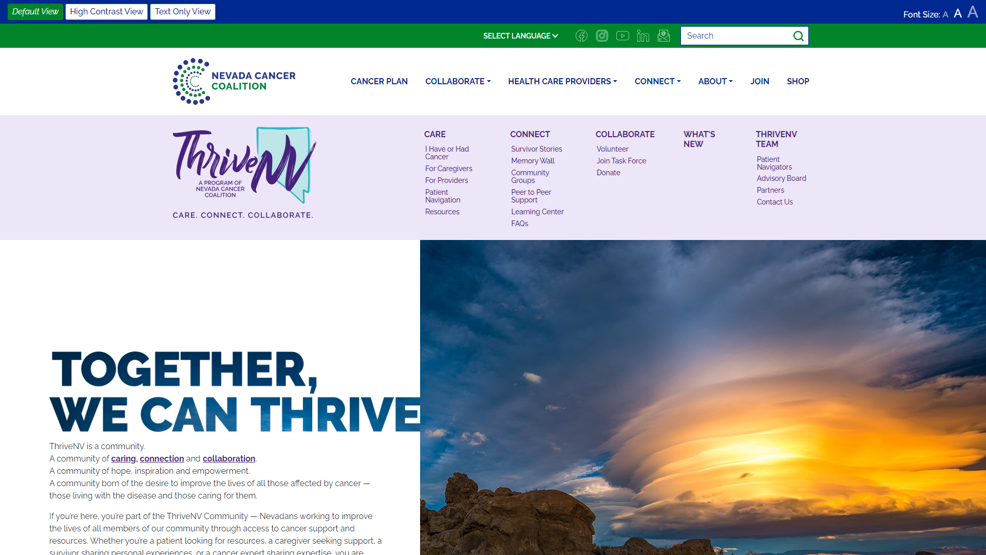ThriveNV